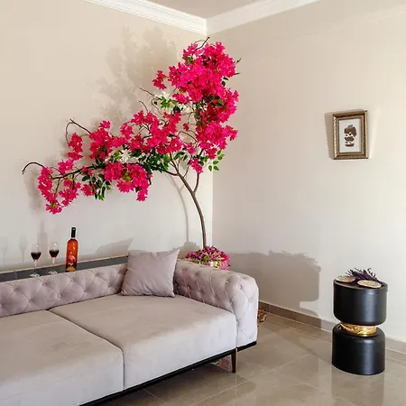 Starlight Terrace Penthouse